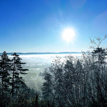 Appartement La Bernardine Au Coeur Du Jura Orgelet Eksteriør billede
